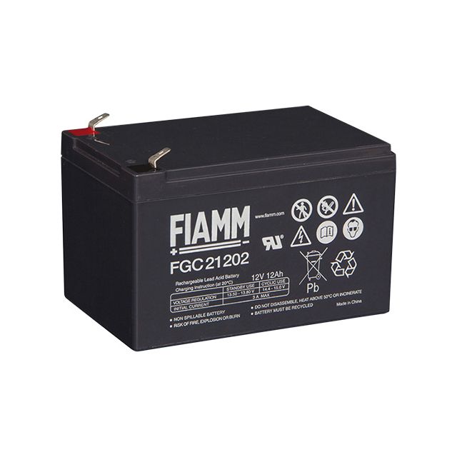 Batterie ricaricabili al piombo da 12V