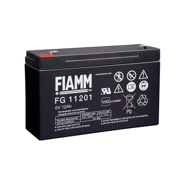 Batterie ricaricabili al piombo da 6V