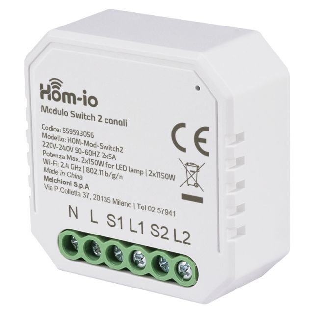 Moduli Switch Hom-io
